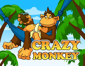 crazy monkey